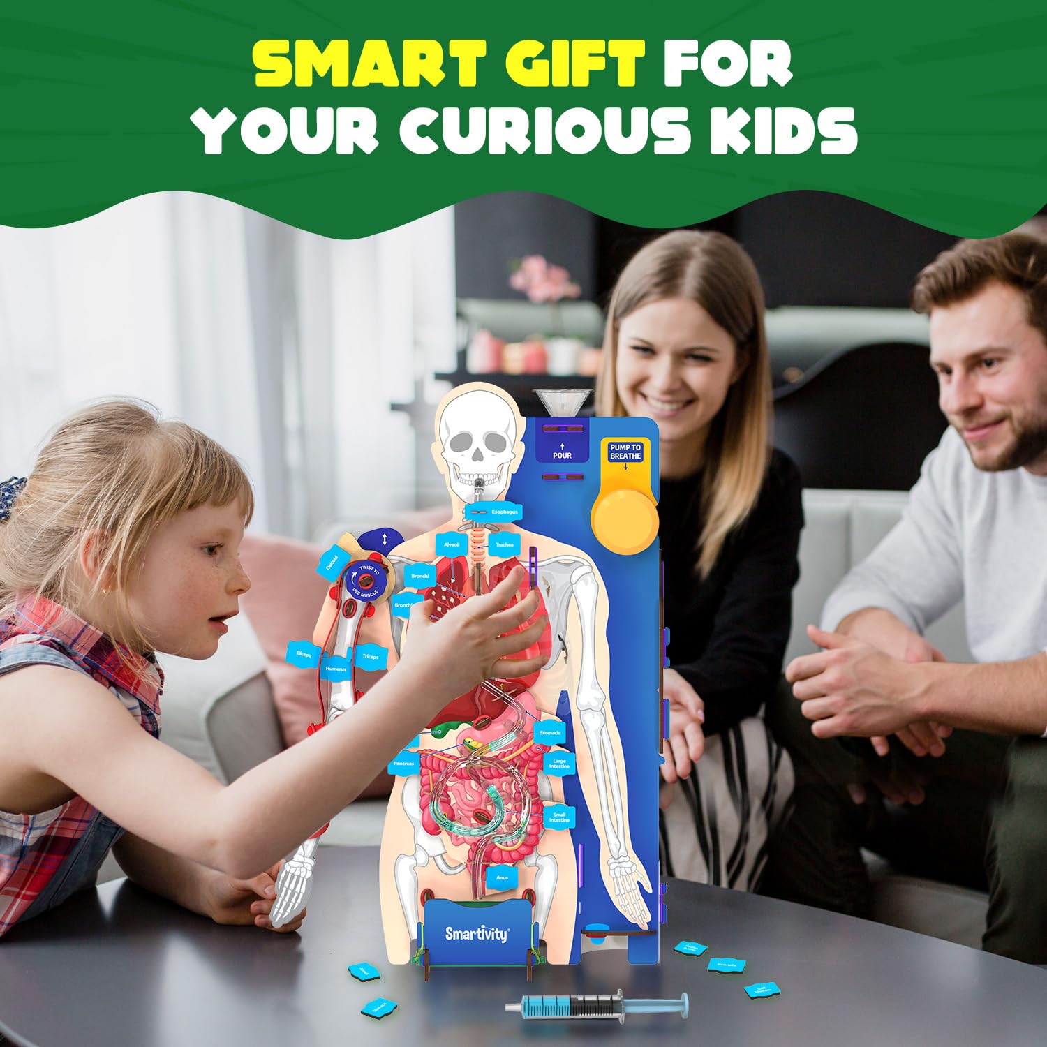 Smartivity Interactive Human Body Model for Kids 8-14 Years I  Birthday/Christmas Gift for Boys & Girls