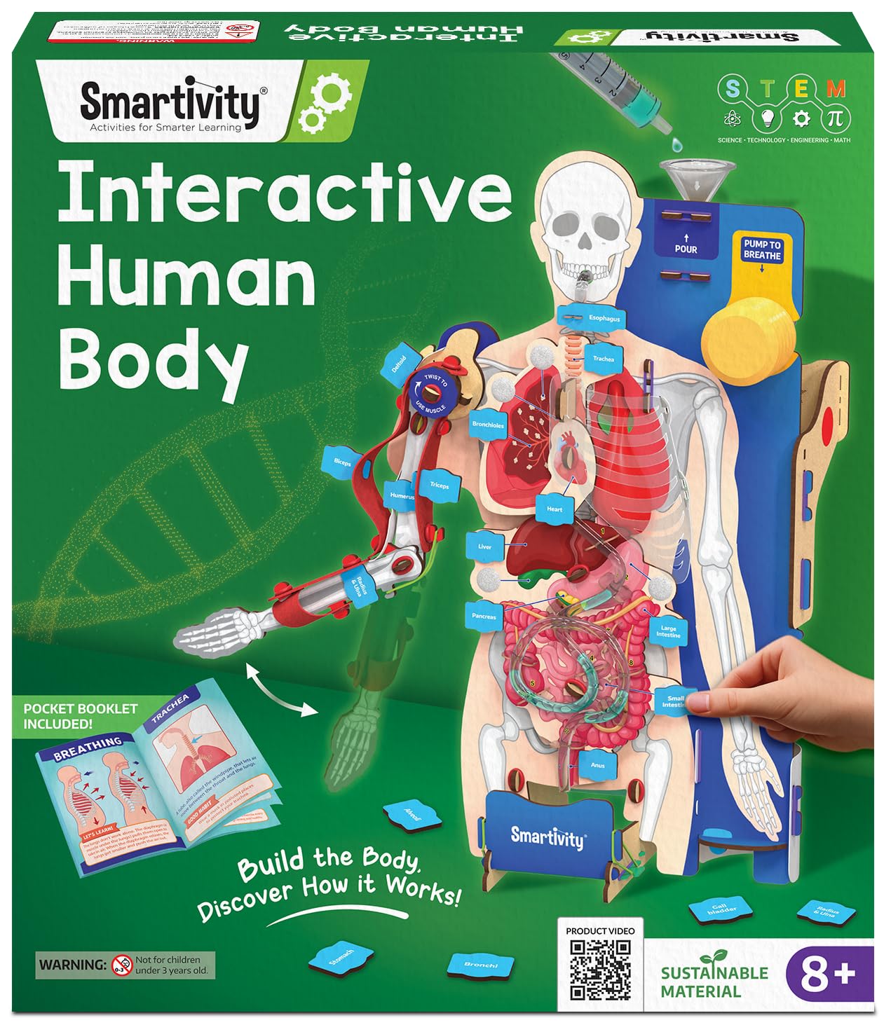 Smartivity Interactive Human Body Model for Kids 8-14 Years I  Birthday/Christmas Gift for Boys & Girls
