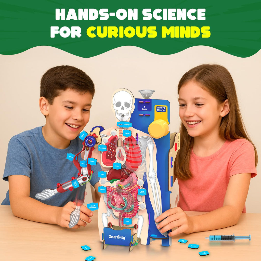Smartivity Interactive Human Body Model for Kids 8-14 Years I  Birthday/Christmas Gift for Boys & Girls