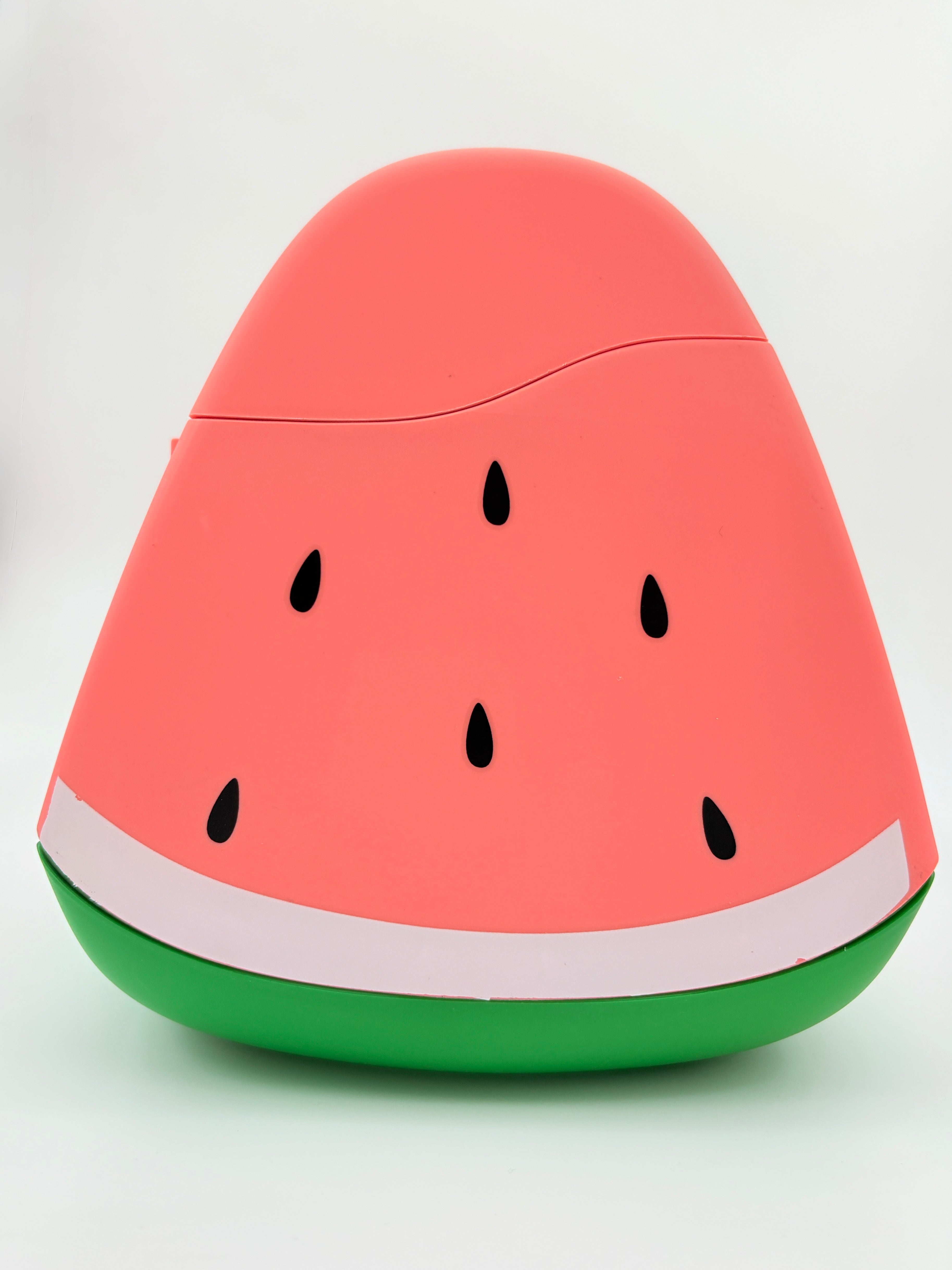 Watermelon Desk Dustbin